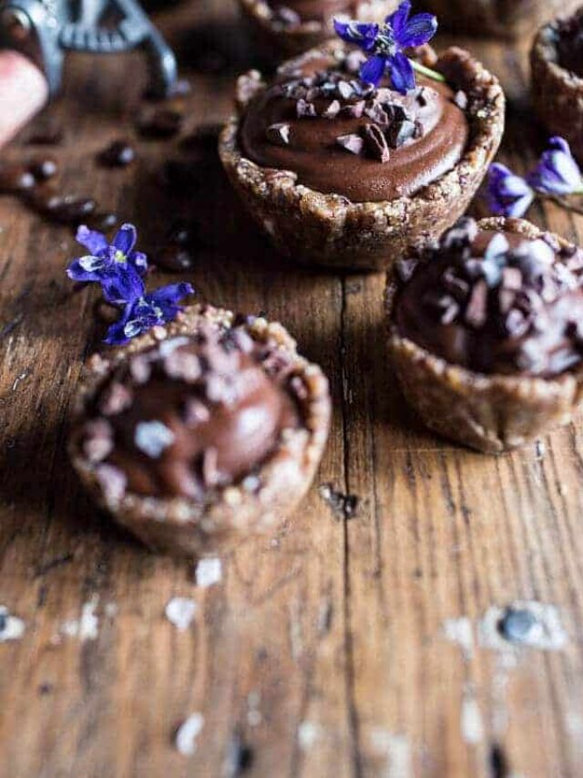 Mini Vegan Coconut Tarts with Chocolate Mocha Fudge Recipe