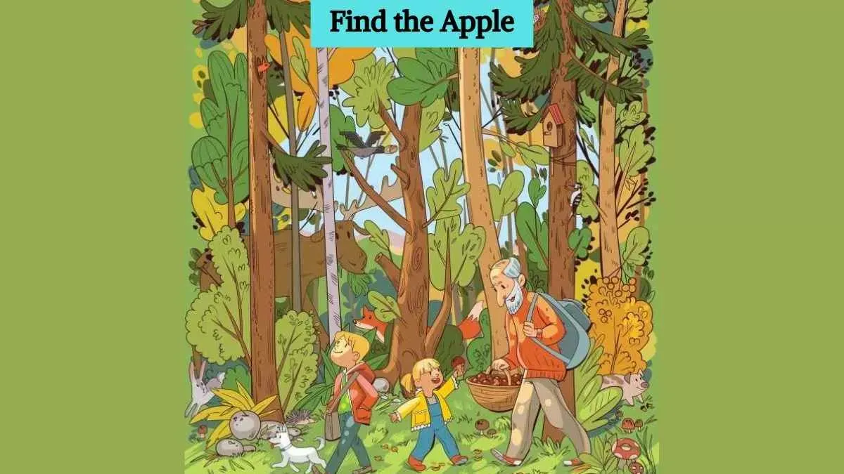 Optical Illusion In 5 Seconds Find The Hidden Apple In The Forest - Theshecannetwork